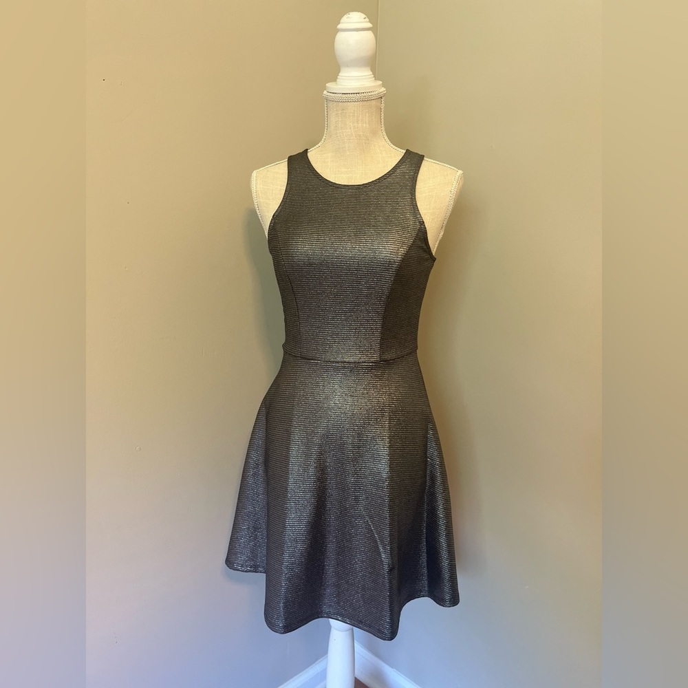 Charlotte Russe Shiny Skater Dress
